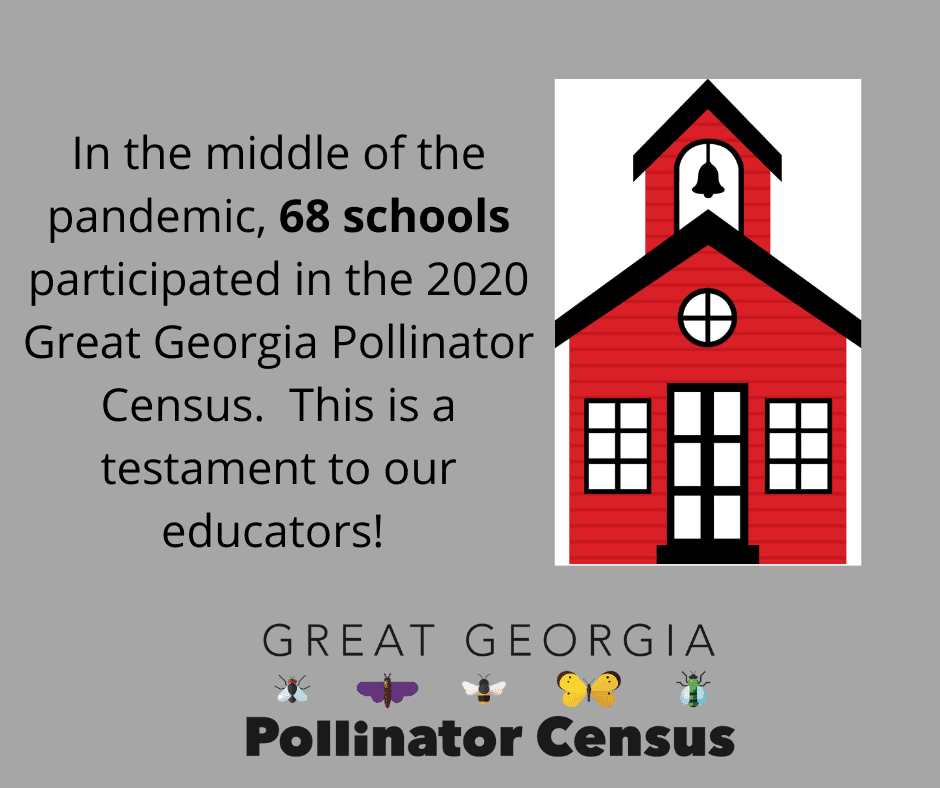 In the middle of the pandemic, 68 schools participated in the 2020 Great Georgia Pollinator Census.