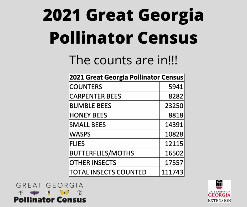 2021 Great Georgia Pollinator Census results summary: insect counts across the eight categories. Full data is in the downloadable summary spreadsheet.