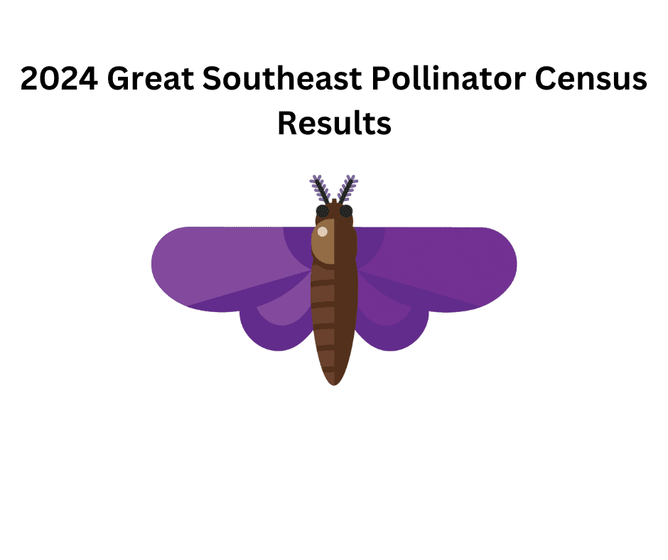 2024 Great Southeast Pollinator Census long-form results: insect counts across the eight categories. Full data is in the downloadable summary spreadsheet.