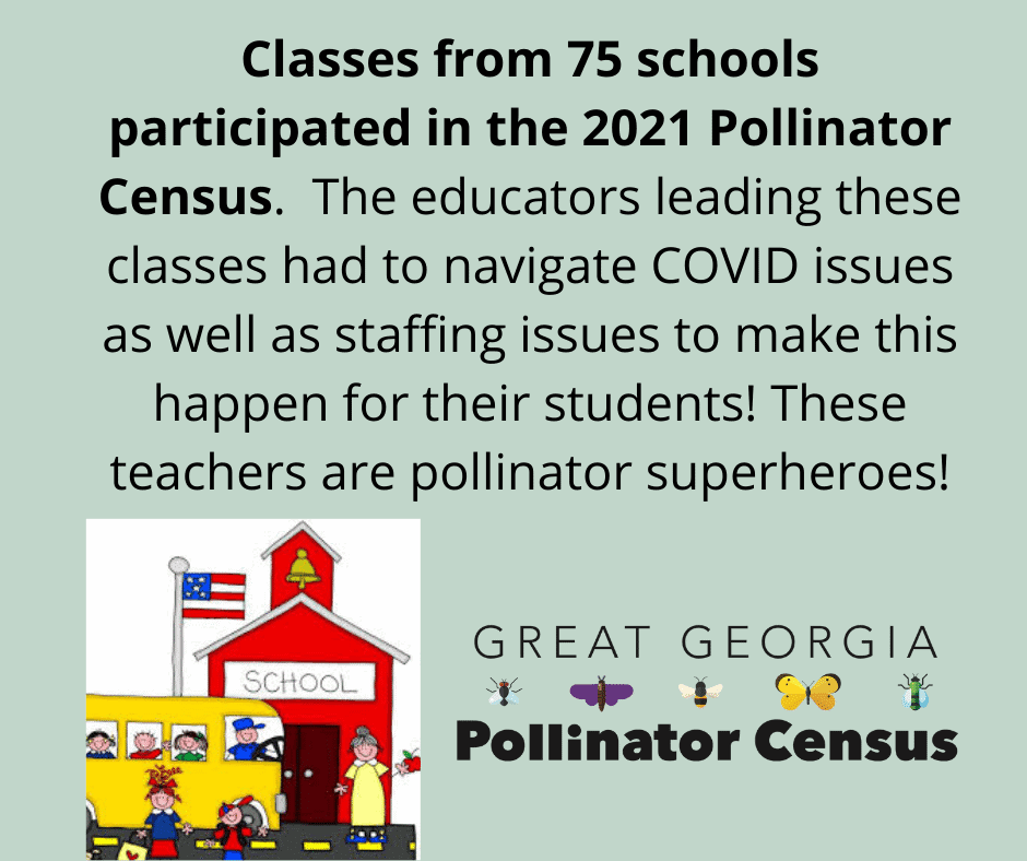 Classes from 75 schools participated in the 2021 Pollinator Census, led by educators navigating COVID and staffing challenges.