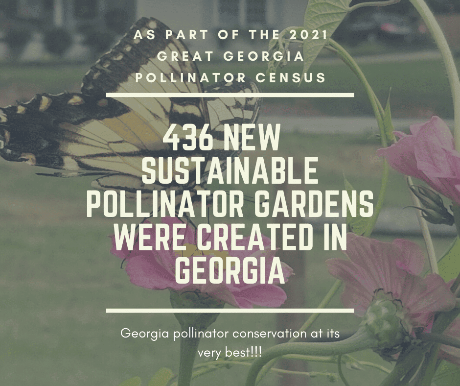 During the 2021 Great Georgia Pollinator Census, 436 new sustainable pollinator gardens were created in Georgia.