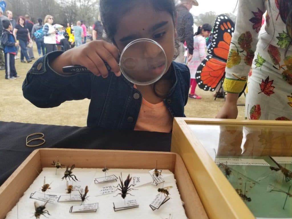 Young people examining insects with a magnifying glass at the Atlanta Science Festival