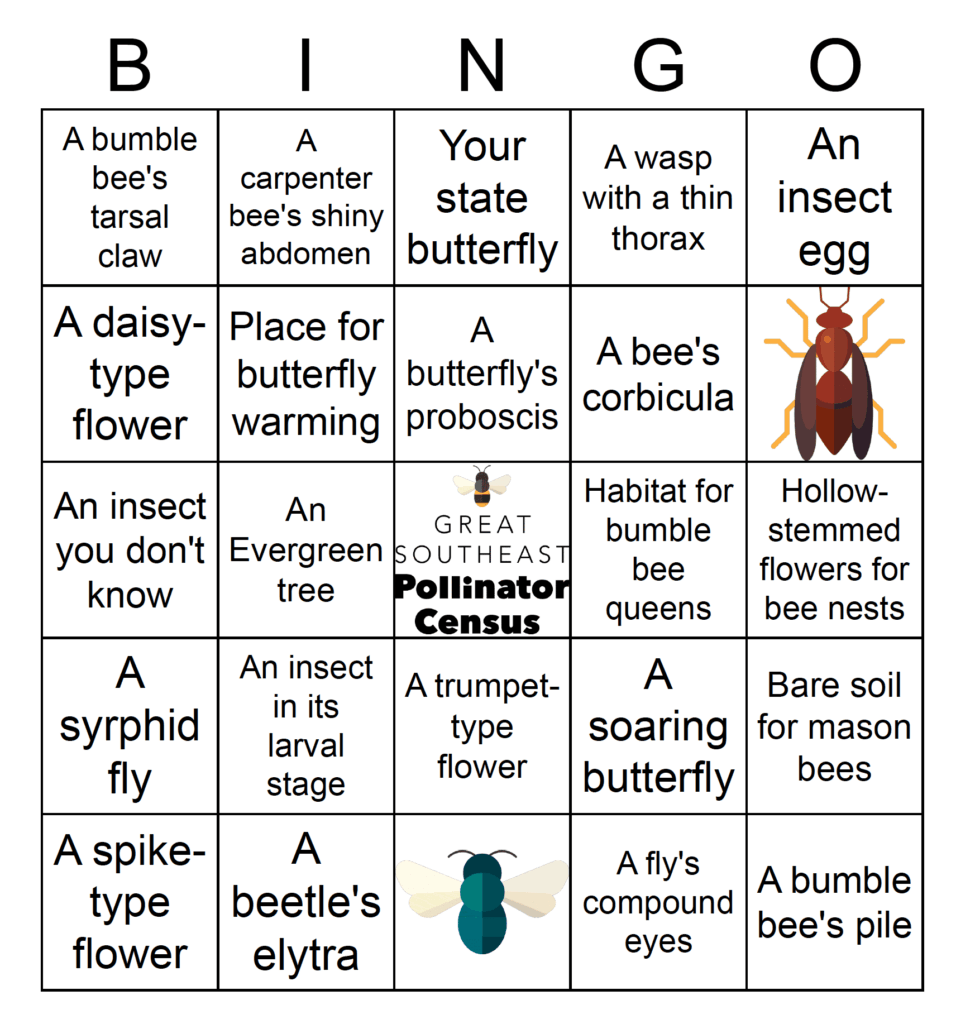Intermediate garden hunt BINGO card