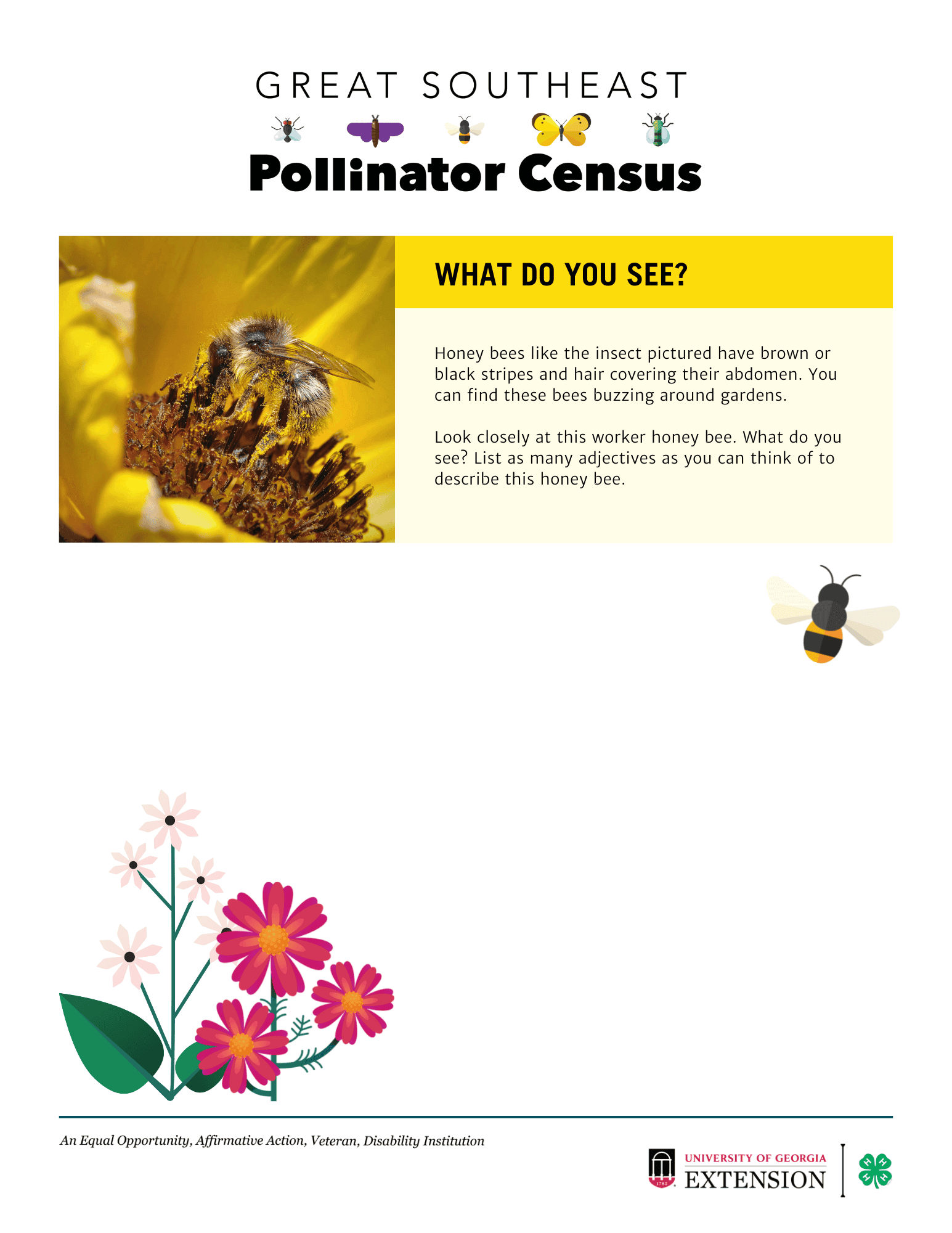 Describing Bees adjective activity preview