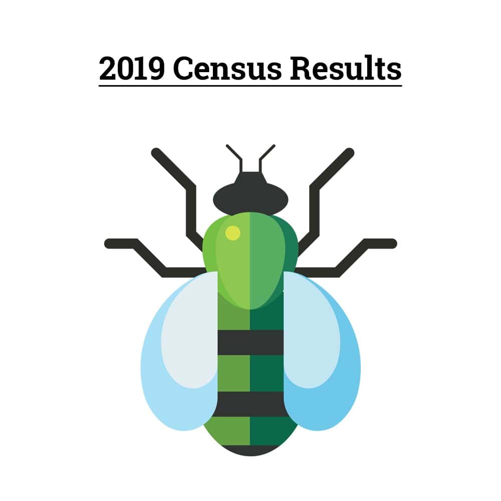2019 Census Results