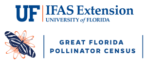 Great Florida Pollinator Census · UF/IFAS Extension
