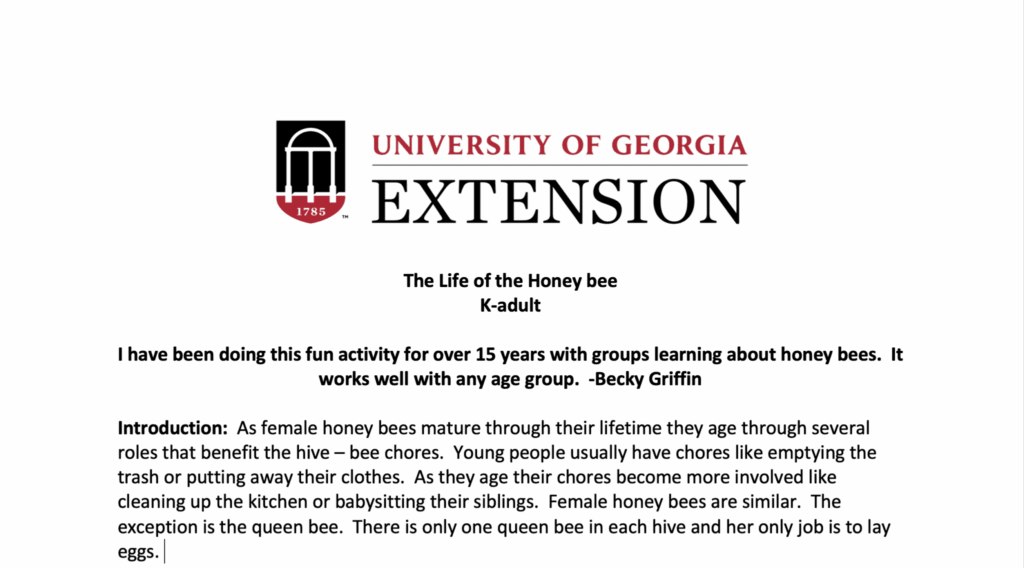 Honey bees on a flower, illustrating the Honey Bee Roles lesson