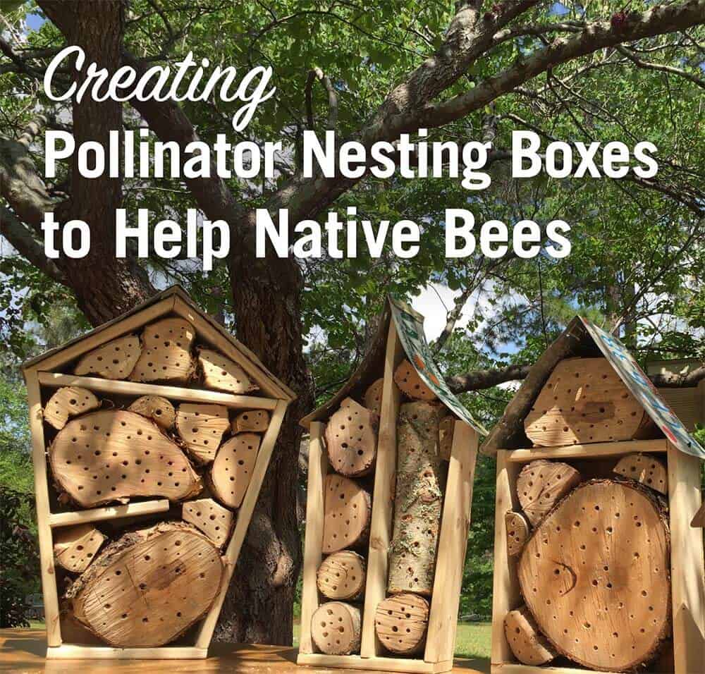 Creating Pollinator Nesting Boxes UGA Extension publication cover